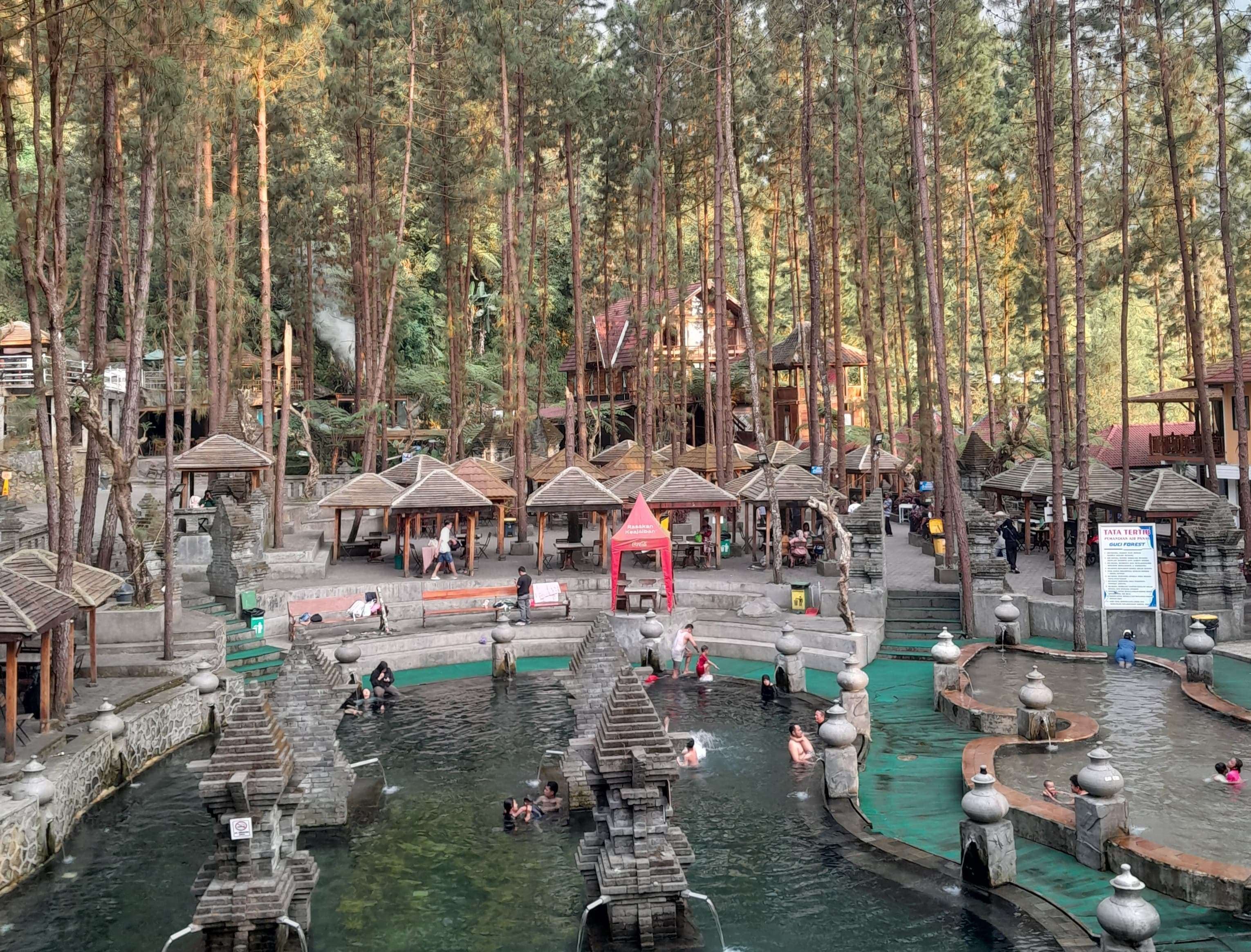 Liburan Ke Guci Forest | Wisata Alam Sejuk Hutan Pegunungan